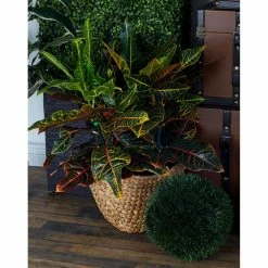 New 🔥 Basket Sets DecMode Oval Wicker Basket - Set Of 4 🥰