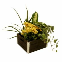 Top 10 😍 Decorative Crates Wald Import Wood Crate Box -Set Of 3 🧨